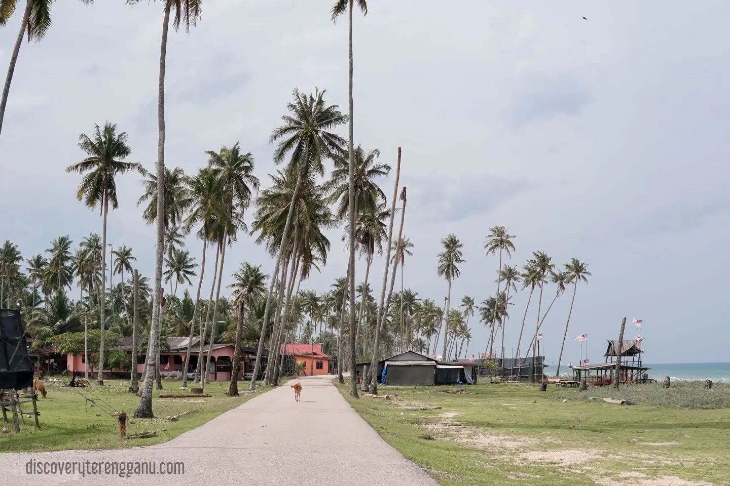 Kampung Jambu Bongkok