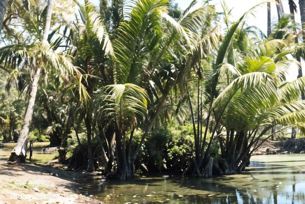 Kampung Jenang