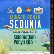 Minggu Penyu Sedunia 2025