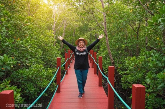 5 Tarikan Alam Semula Jadi Utama di Setiu Wetlands