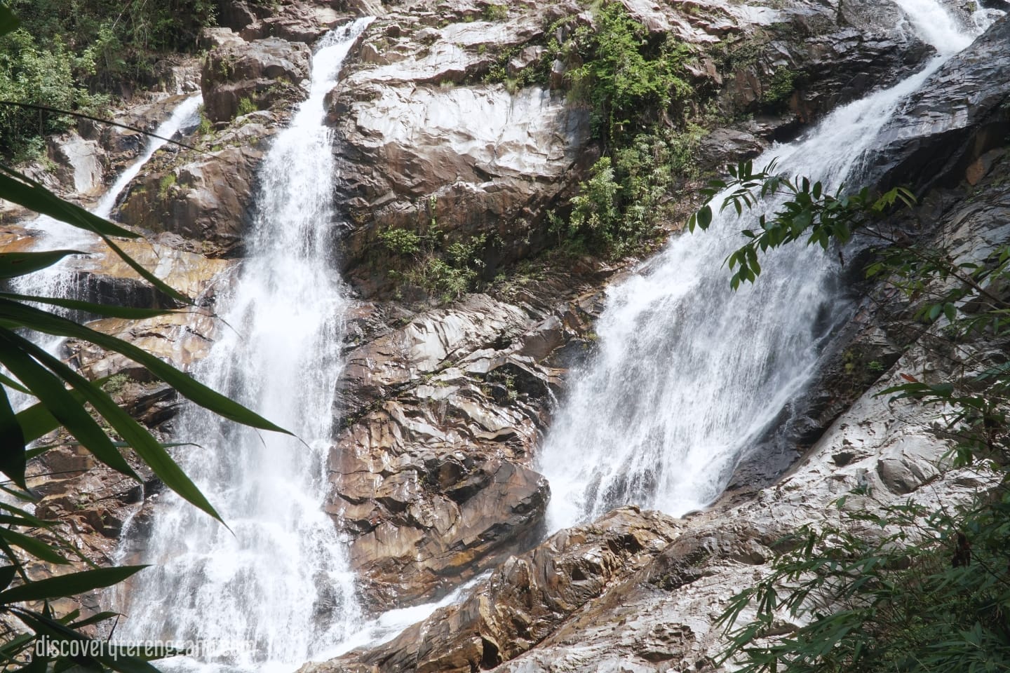 3. Lata Tembakah