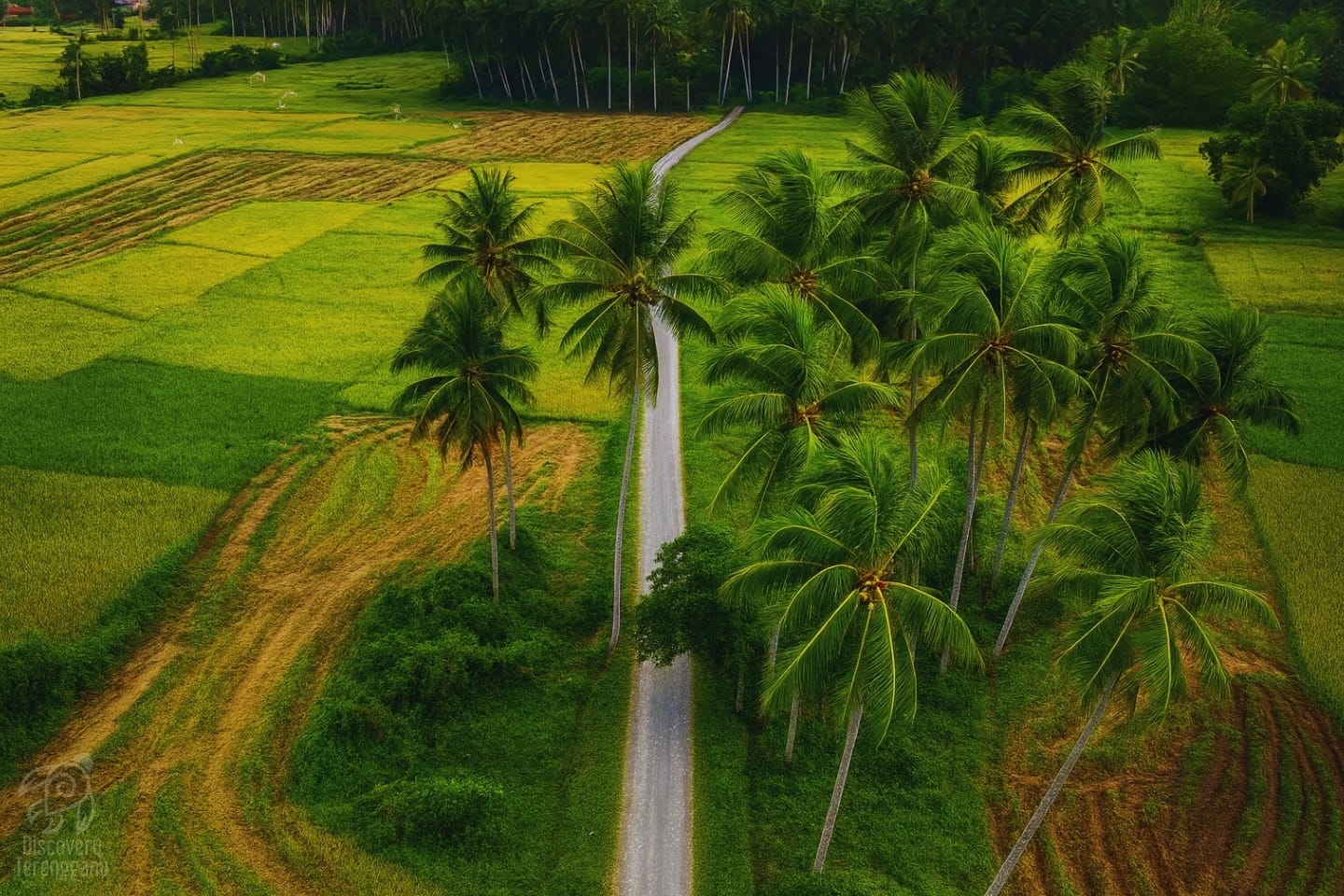 Kampung Padang Maras